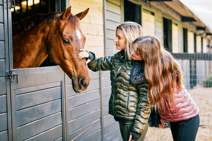 Horse in a stable safe with its two owners