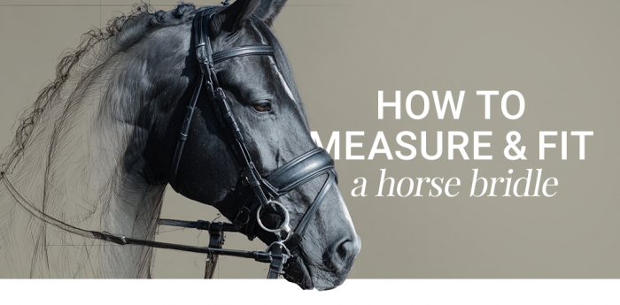 how to measure and fit a bridle