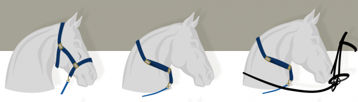 how to put a bridle on a horse