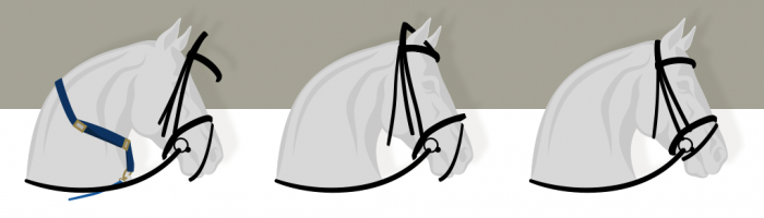 how to put a bridle on a horse