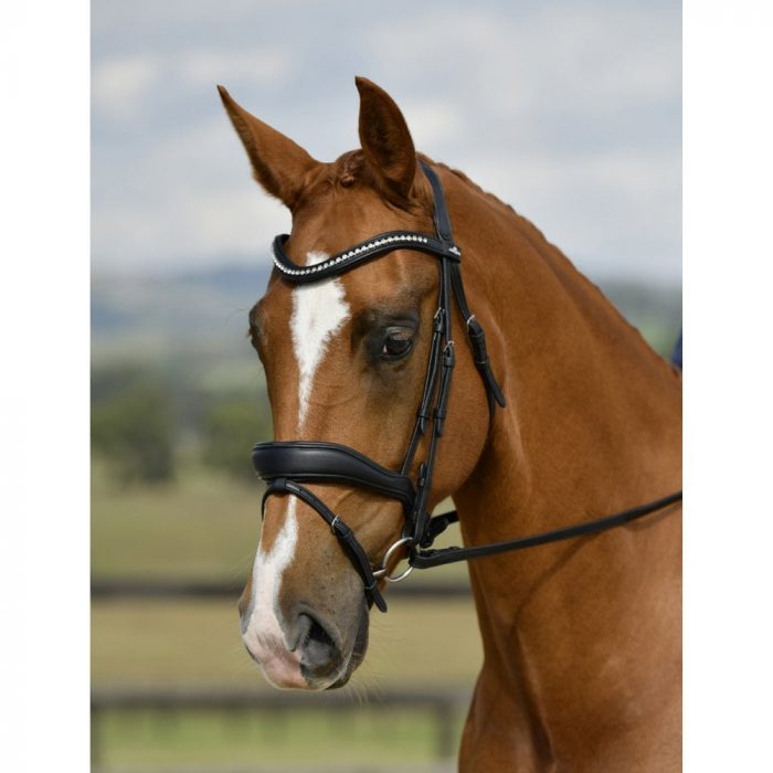 Collegiate Comfitec Opulux Padded Dressage Bridle