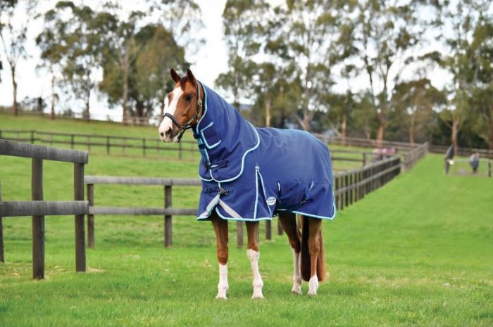 Horse in weatherbeera's comfitec ultra hard detach-a-neck turnout rug in blue