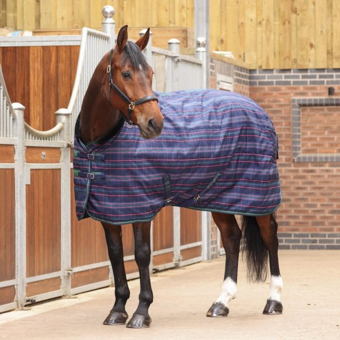 Horse in Shires tempest plus 100 stable rug in tartan