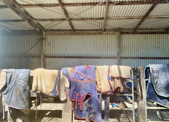 horse rugs hung up to dry in the sun