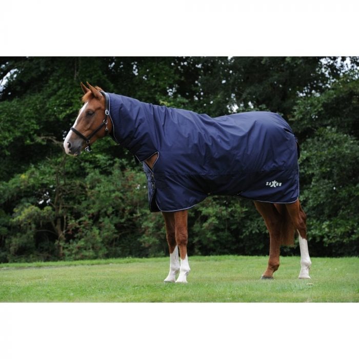 horse in a navy blue turnout rug