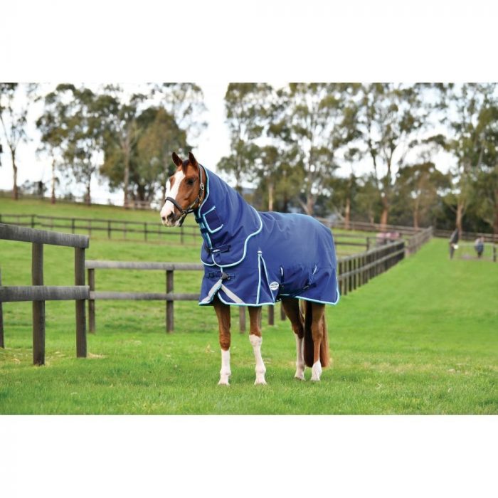 horse in a navy blue turnout rug