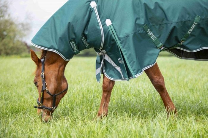 horse eating grass in a green shires rug