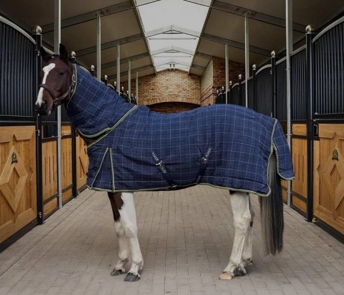 horse in navy blue tartan asker rug