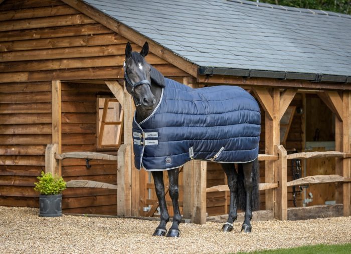 Horse in a navy blue turnout rug