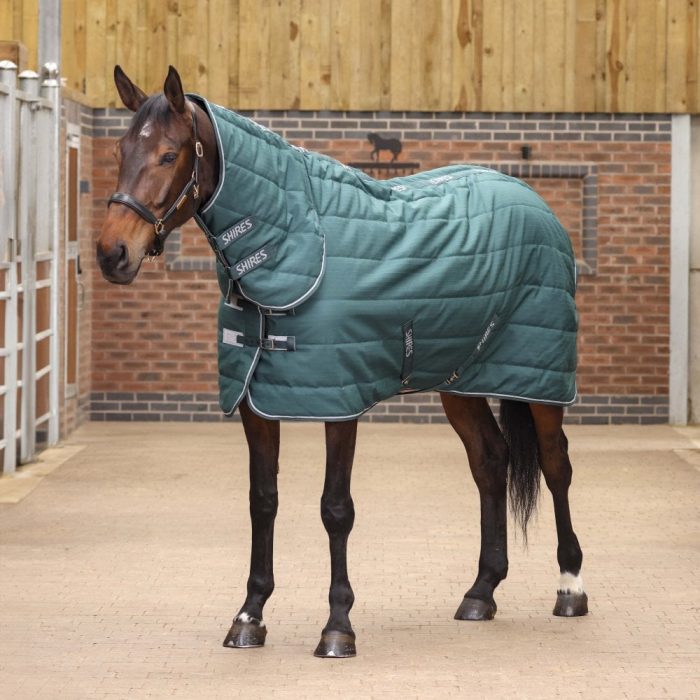 horse in Shires
Tempest Original 200 Combo Stable Rug Emerald
