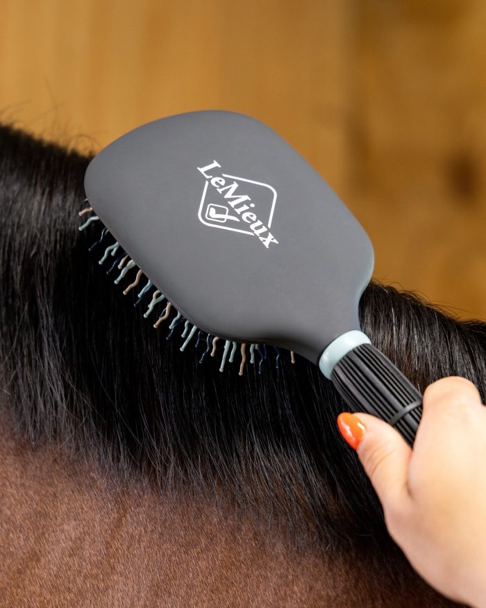 LeMieux horse grooming brush