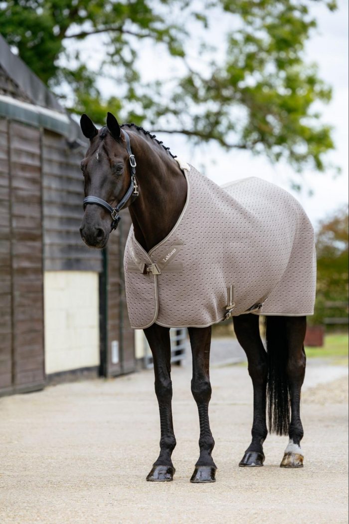 Dark horse in a stable yard wearing the rich, earthy brown LeMieux SS26 Pecan textured fleece cooler rug.