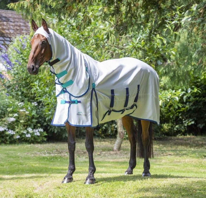 Brown Horse in a white Shires Highlander Plus Sweetitch Horse Combo