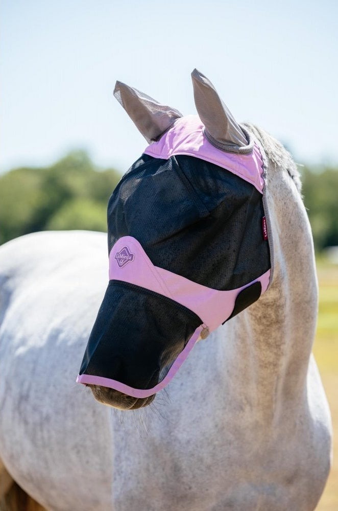 White horse in a pink LeMieux fly mask