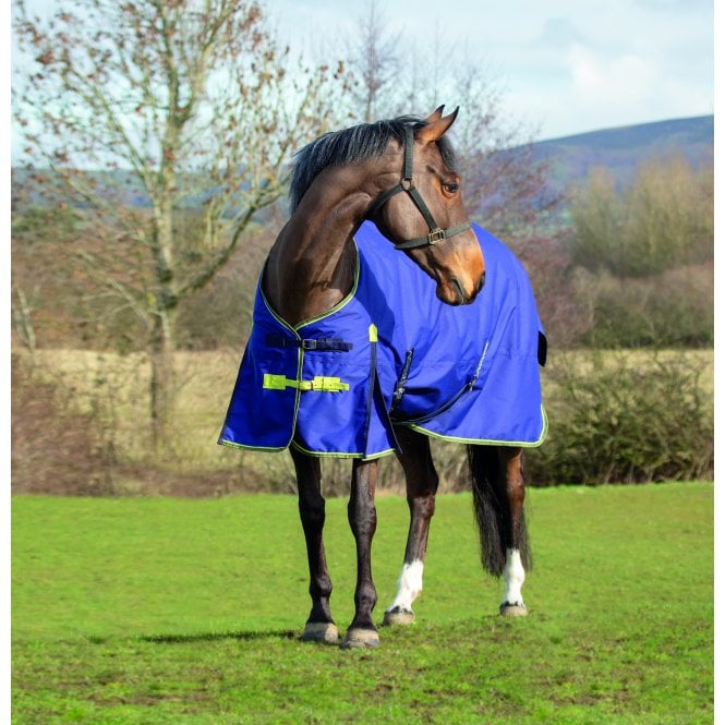 Asker  0g Horse Lightweight Standard Neck Turnout Rug - Navy Blue