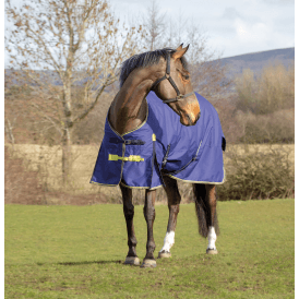 Asker 200g Horse Standard Neck Turnout Rug - Navy Blue