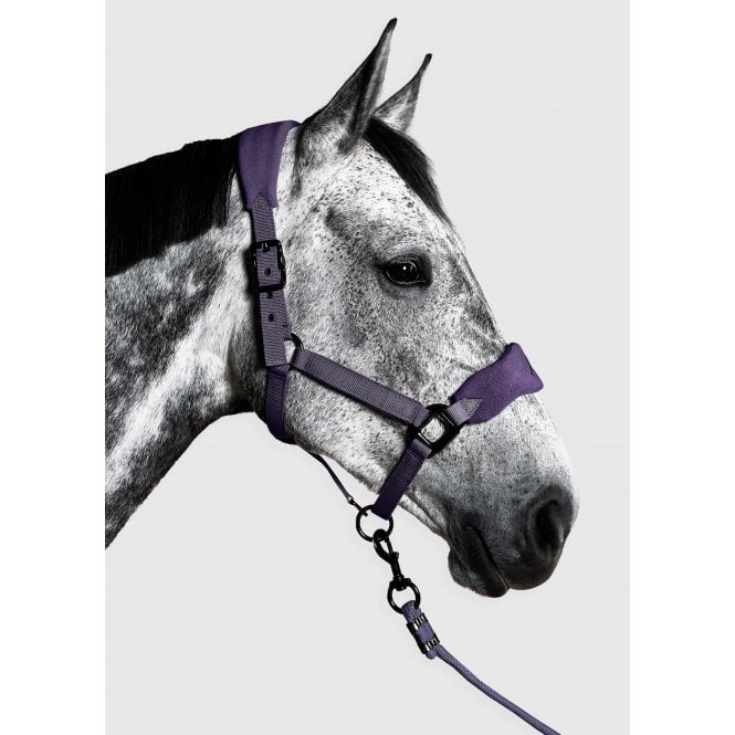 Aztec Diamond  YR Panel Headcollar & Leadrope - Amethyst
