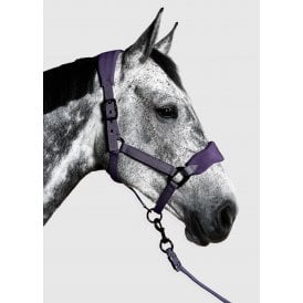 Aztec Diamond YR Panel Headcollar & Leadrope - Amethyst