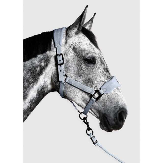 Aztec Diamond  YR Panel Headcollar & Leadrope - Ash Blue