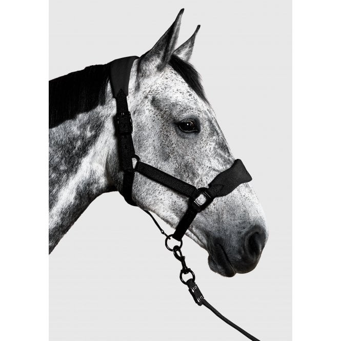 Aztec Diamond  YR Panel Headcollar & Leadrope - Black
