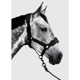Aztec Diamond YR Panel Headcollar & Leadrope - Black