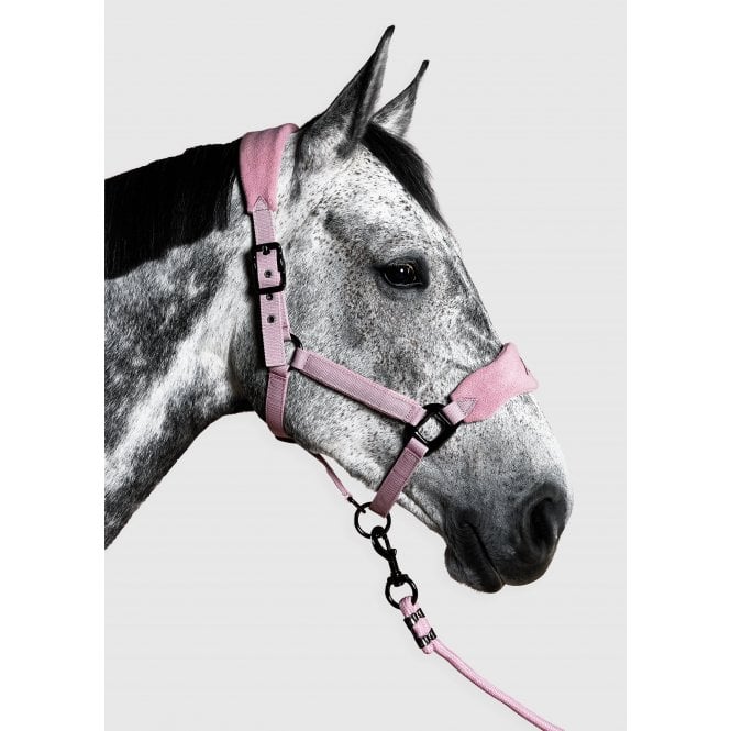 Aztec Diamond  YR Panel Headcollar & Leadrope - Pink