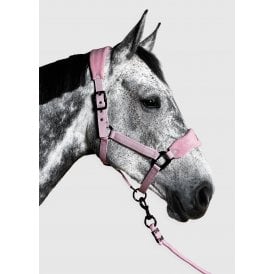 Aztec Diamond YR Panel Headcollar & Leadrope - Pink