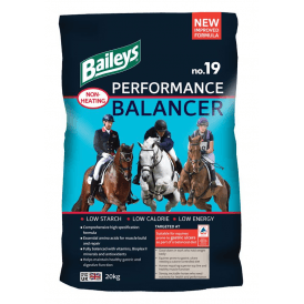 Baileys No. 19 Performance Balancer