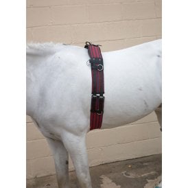 Hy Equestrian Training Roller - Blue/Red