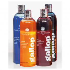 Carr & Day & Martin Gallop Colour Shampoo