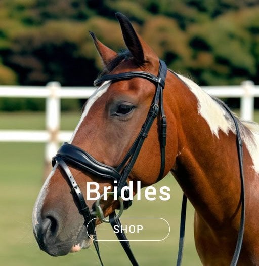 Pravoak Bridles