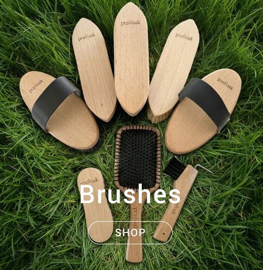 Pravoak Brushes