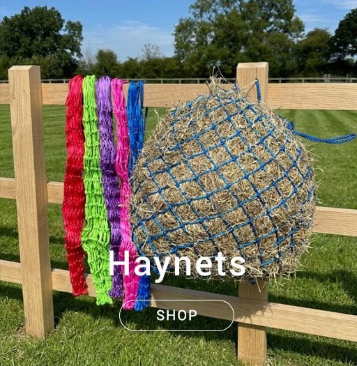 Pravoak Haynets