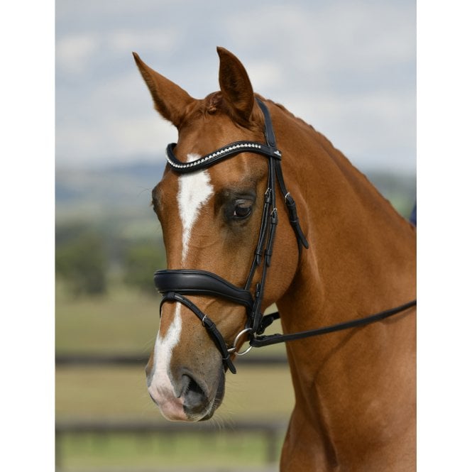 Collegiate  Comfitec Opulux Padded Dressage Bridle - Black