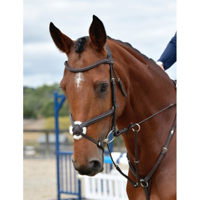 Collegiate  Comfitec Opulux Plain Padded Grackle Bridle