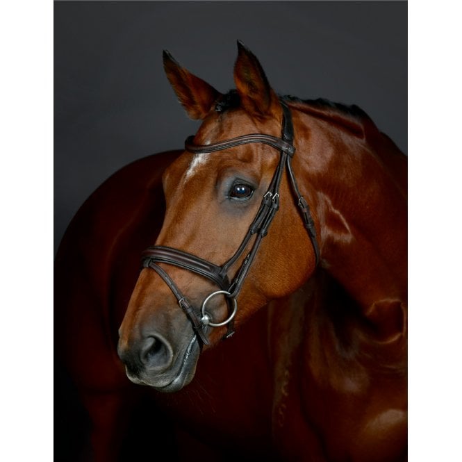Collegiate  Comfitec Opulux Plain Padded Hanoverian Flash Bridle
