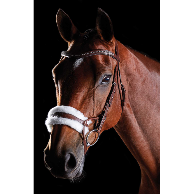 Collegiate  Comfitec Sheepskin Bridle