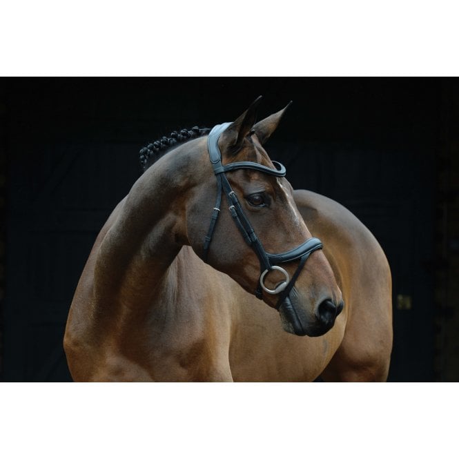 Collegiate  Comfitec Vogue Anatomical Bridle