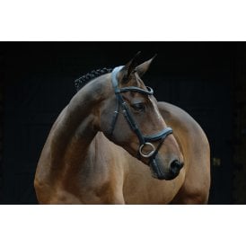 Collegiate Comfitec Vogue Anatomical Bridle