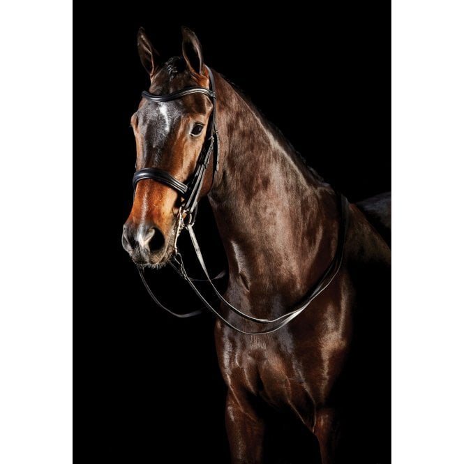 Collegiate  Comfitec Weymouth Bridle - Black