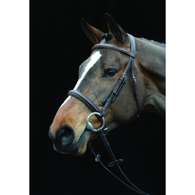 Collegiate  Comfort Crown Padded Raised Cavesson Bridle - Brown