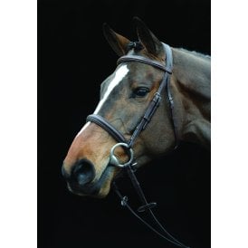 Collegiate Comfort Crown Padded Raised Cavesson Bridle - Brown