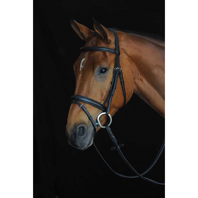 Collegiate  Comfort Crown Padded Raised Flash Bridle - Black