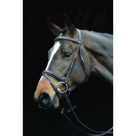 Collegiate Comfort Crown Padded Raised Flash Bridle - Brown