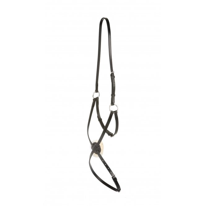 Collegiate  Grackle Noseband IV - Black