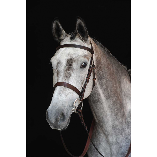 Collegiate  Hunt Cavesson Bridle - Brown