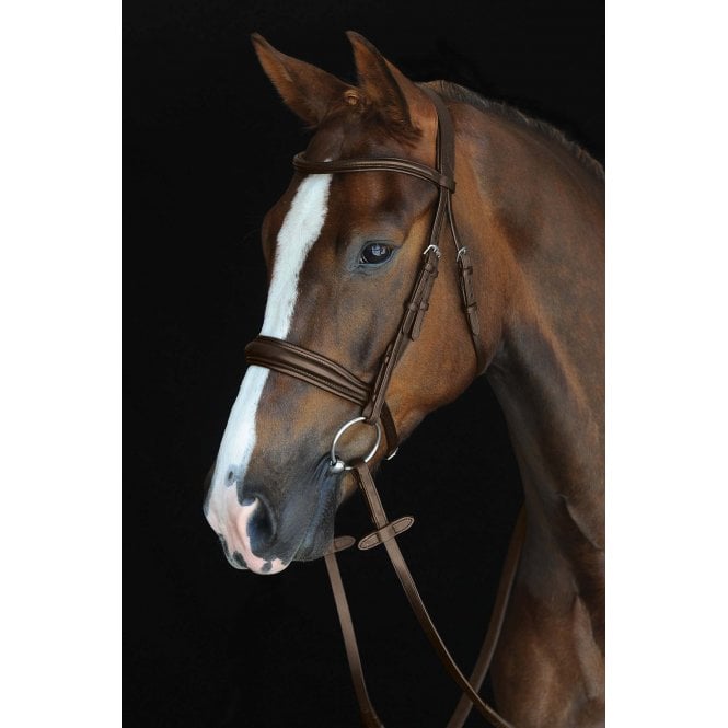 Collegiate  Mono Crown Padded Raised Cavesson Bridle - Brown