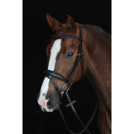 Collegiate Mono Crown Padded Raised Flash Bridle - Black