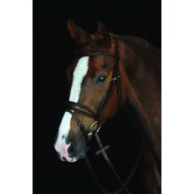 Collegiate Mono Crown Padded Raised Flash Bridle - Brown