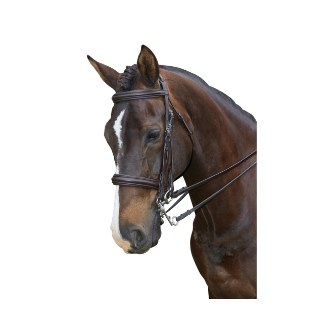 Collegiate  Padded Headpiece Raised Weymouth Bridle - Black